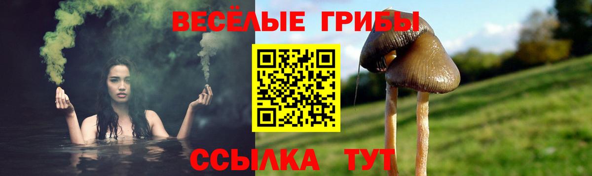 Магадан  Галлюциногенные грибы мицелий  Галлюциногенные грибы прущие грибы  Вход с VPN 